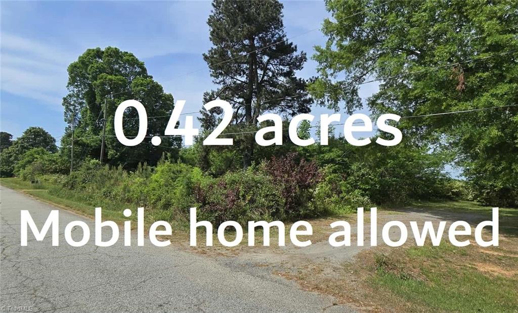 6141 Pepperidge Way, Climax, North Carolina image 1