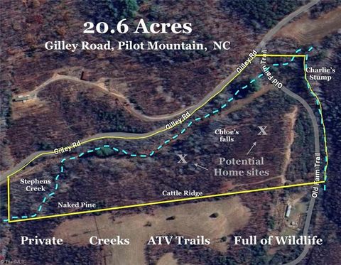 Vacant Land For Sale - XX Gilley Road #20.63 ACRES<br/> Pilot Mountain, NC 27041