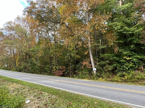 Vacant Land For Sale - 00 Pipers Gap Road #LOT 17 PLUS 4 ACRES<br/> Mount Airy, NC 27030