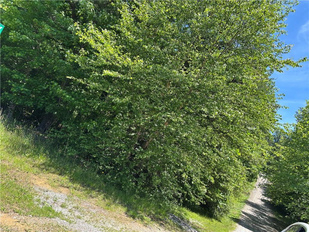 Lot 11 Hamlet Way, Reidsville, North Carolina image 2