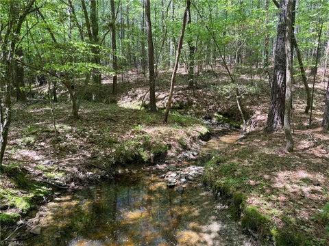 Vacant Land For Sale - LOT 6 Thompson Road<br/> Seagrove, NC 27341