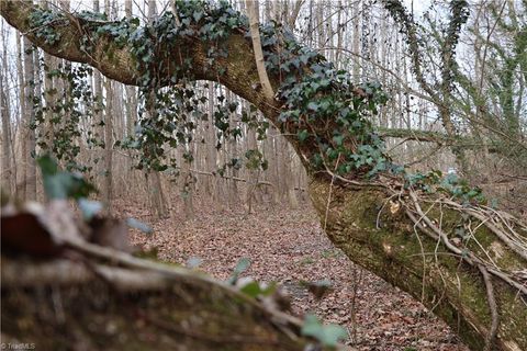 Vacant Land For Sale - 226 Hamburg Street<br/> Surry County, Mount Airy, NC 27030