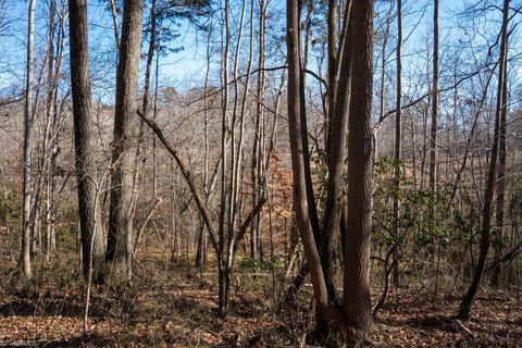 Vacant Land For Sale - LOT 5 Morosko Lane<br/> Pilot Mountain, NC 27041