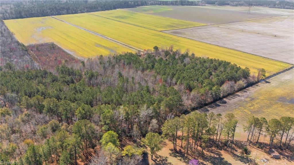 Dudley Road, Fayetteville, North Carolina image 15