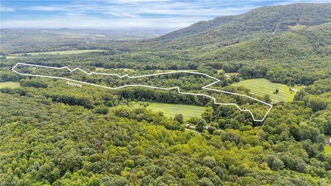 Vacant Land For Sale - TBD N Old Highway 21<br/> Thurmond, NC 28683