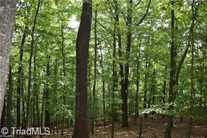 Vacant Land For Sale - 4 Greenstreet Drive<br/> Wilkes County, Traphill, NC 28685