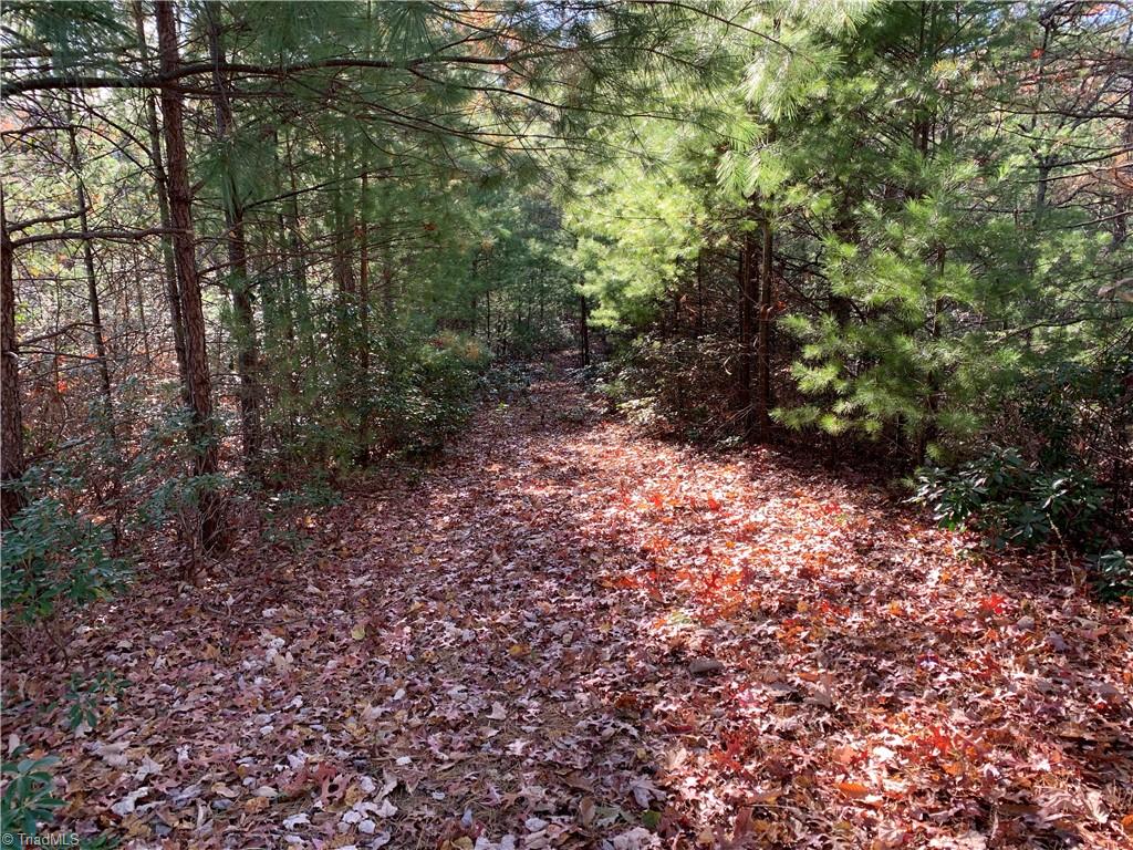 TBD (Lot 1) Dugger Firetower Road, Lenoir, North Carolina image 3