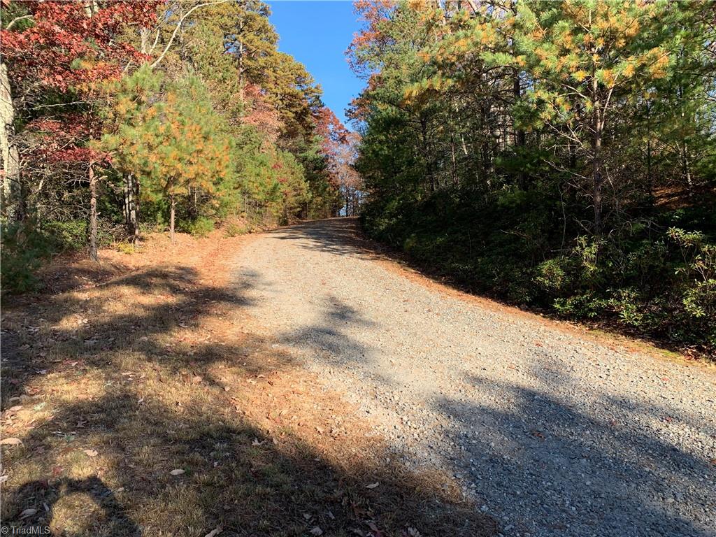 TBD (Lot 1) Dugger Firetower Road, Lenoir, North Carolina image 9