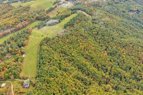 Vacant Land For Sale - TBD Blue Ridge Church Road<br/> Purlear, NC 28665