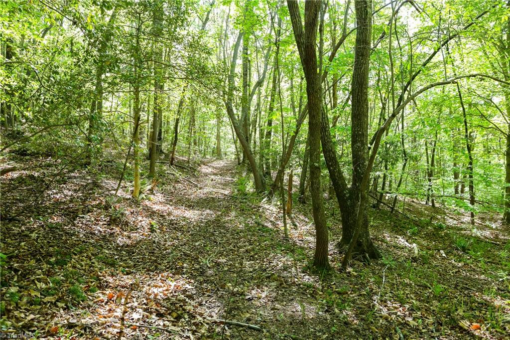 155 Sheets Trail, Germanton, North Carolina image 15