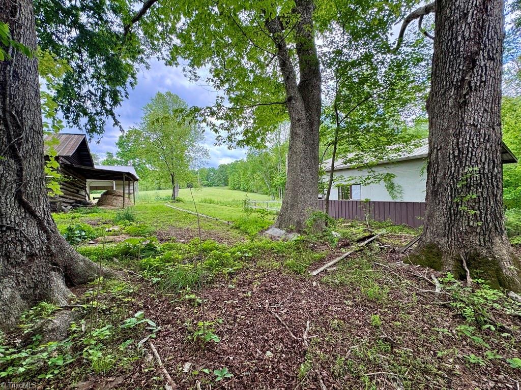 431 Needham Road, Pilot Mountain, North Carolina image 34