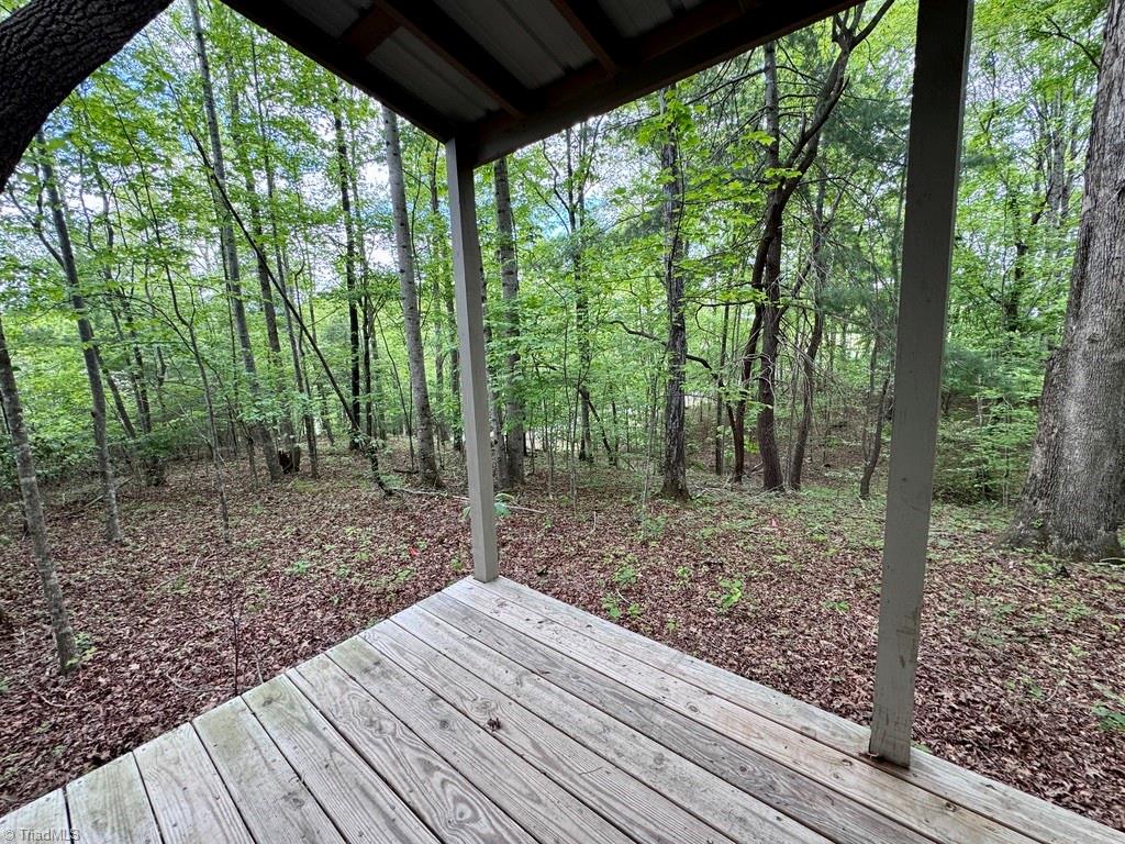 431 Needham Road, Pilot Mountain, North Carolina image 27
