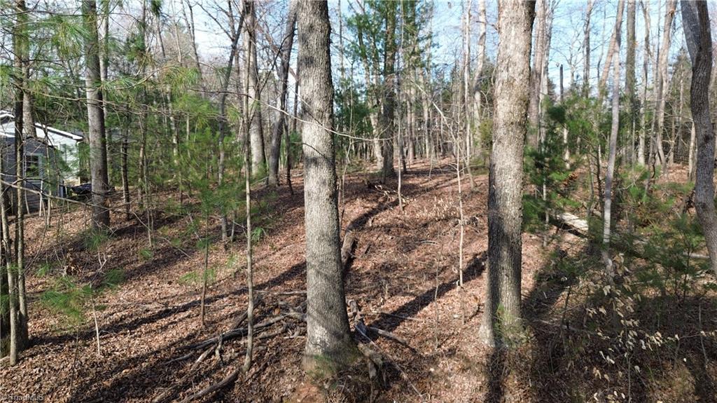 TBD Woodland Drive, Elkin, North Carolina image 12