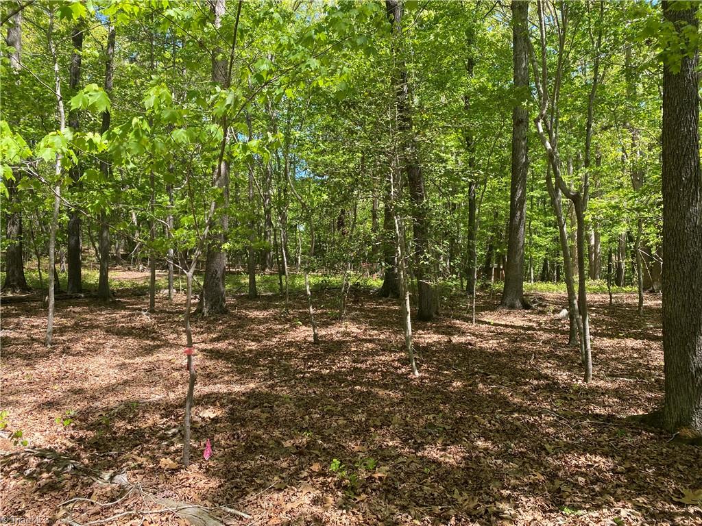 000 Holly Hills Drive, Troy, North Carolina image 7