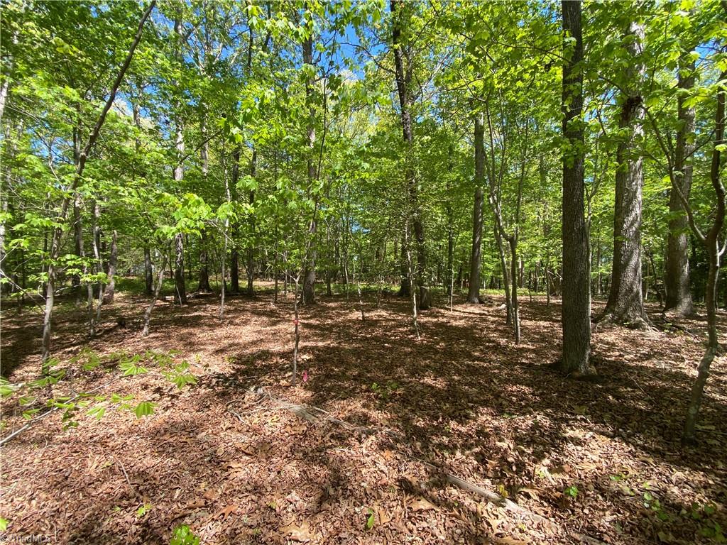 000 Holly Hills Drive, Troy, North Carolina image 8