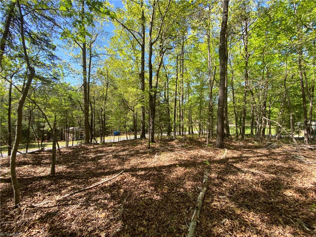 000 Holly Hills Drive, Troy, North Carolina image 5