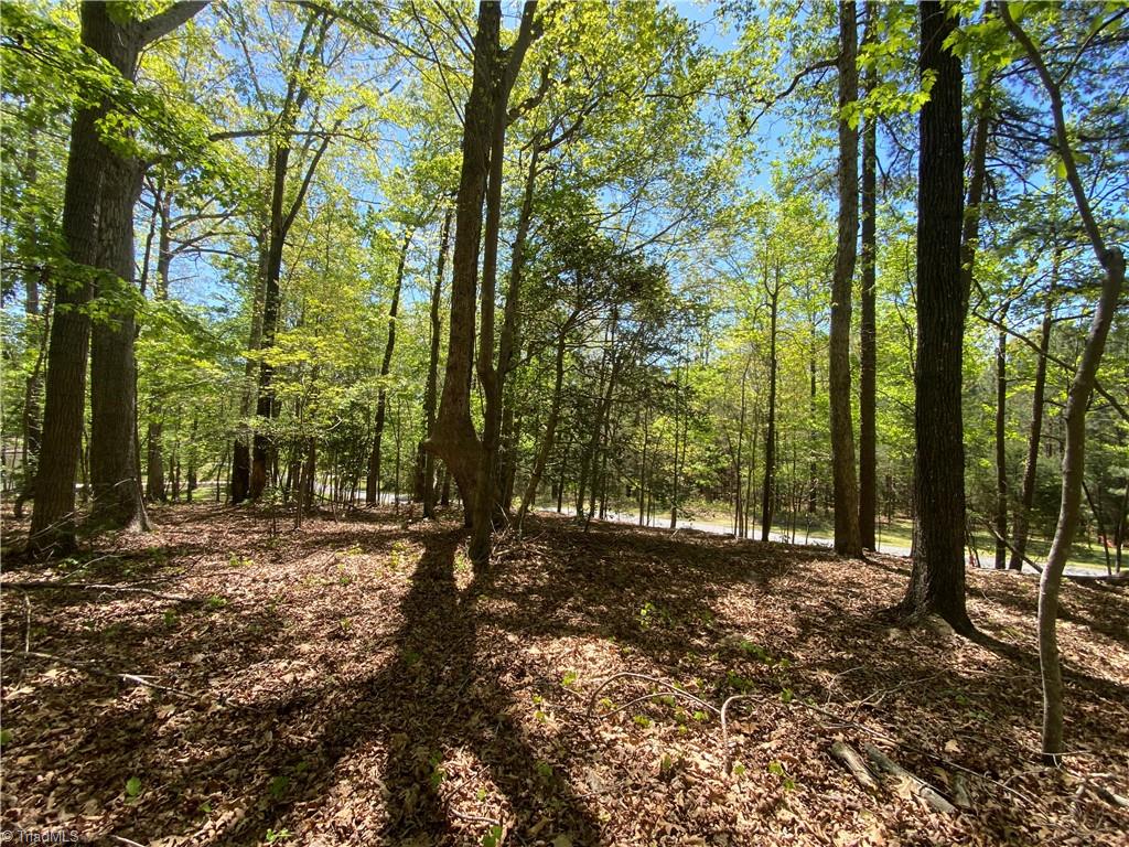 000 Holly Hills Drive, Troy, North Carolina image 6