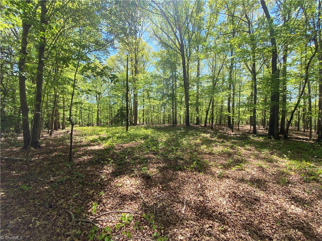 000 Holly Hills Drive, Troy, North Carolina image 3
