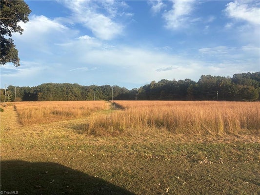 3075 BENNY LINEBERRY RD, CLIMAX, NC 27233 - Image b42c82981fedc6efddfc5b93b5b9e606/1929585519