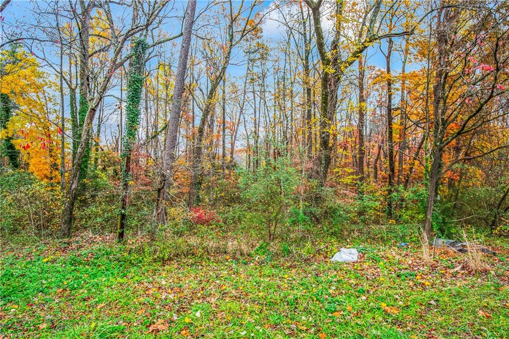 4385 New Walkertown Road, Walkertown, North Carolina image 26