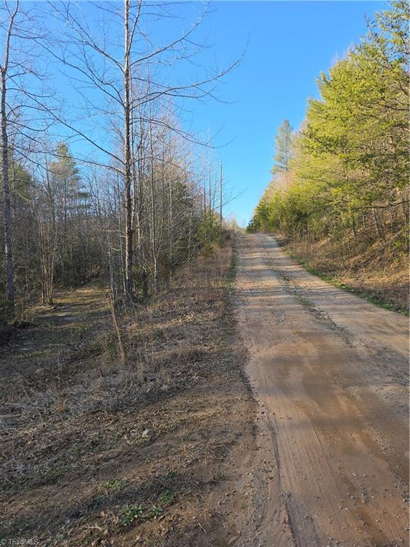 000 Antioch Church Road, Taylorsville, North Carolina image 3