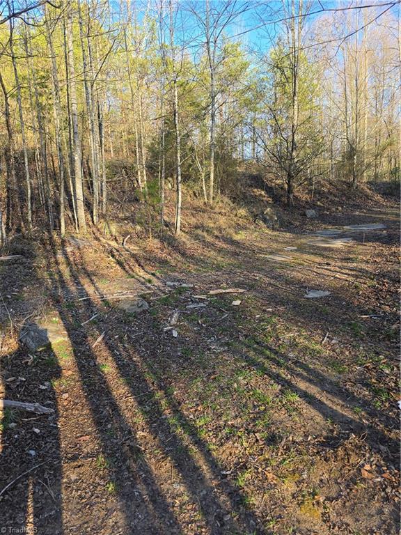 000 Antioch Church Road, Taylorsville, North Carolina image 4