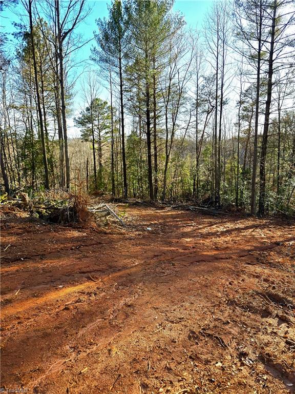 000 Antioch Church Road, Taylorsville, North Carolina image 1