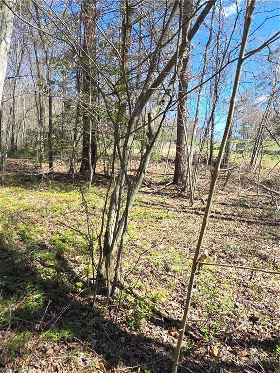 000 Antioch Church Road, Taylorsville, North Carolina image 12