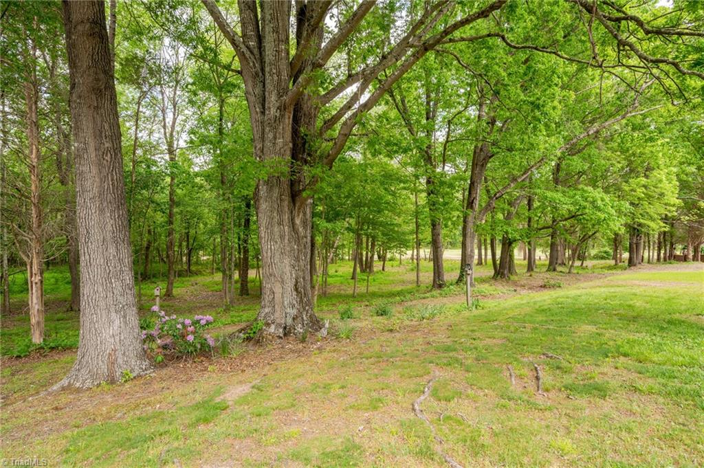 608 Burning Tree Court, High Point, North Carolina image 15