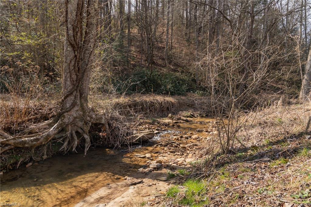736 Kendell Town Road, Ferguson, North Carolina image 23