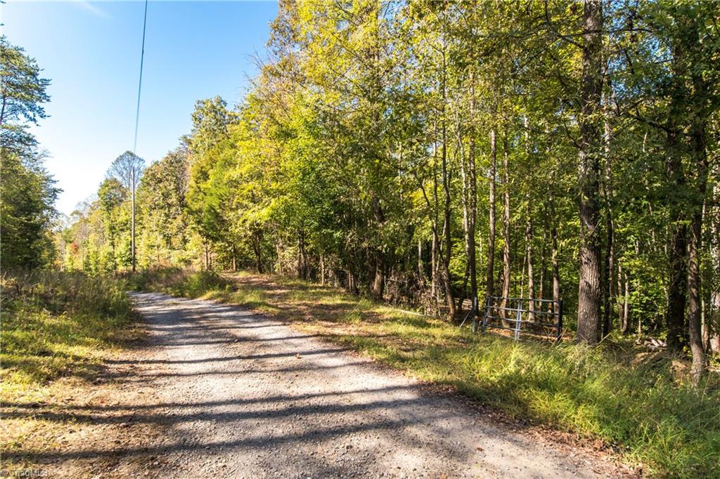 Plum Tree Lane, Mocksville, North Carolina image 12