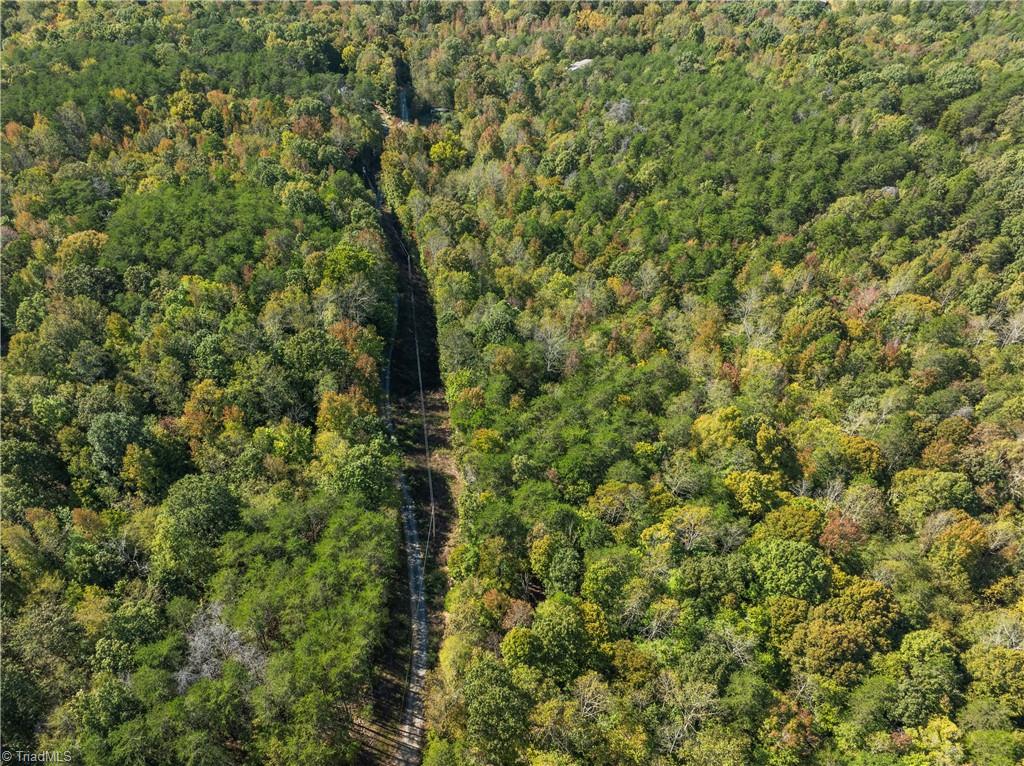 Plum Tree Lane, Mocksville, North Carolina image 8