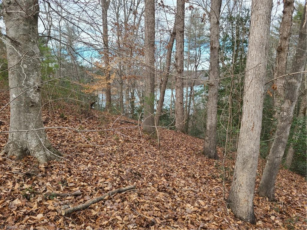 Lot 10 Lakepoint Drive #LAKESHORE, Wilkesboro, North Carolina image 6