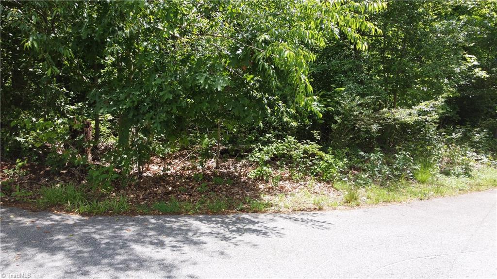 Lot 10 Lakepoint Drive #LAKESHORE, Wilkesboro, North Carolina image 5