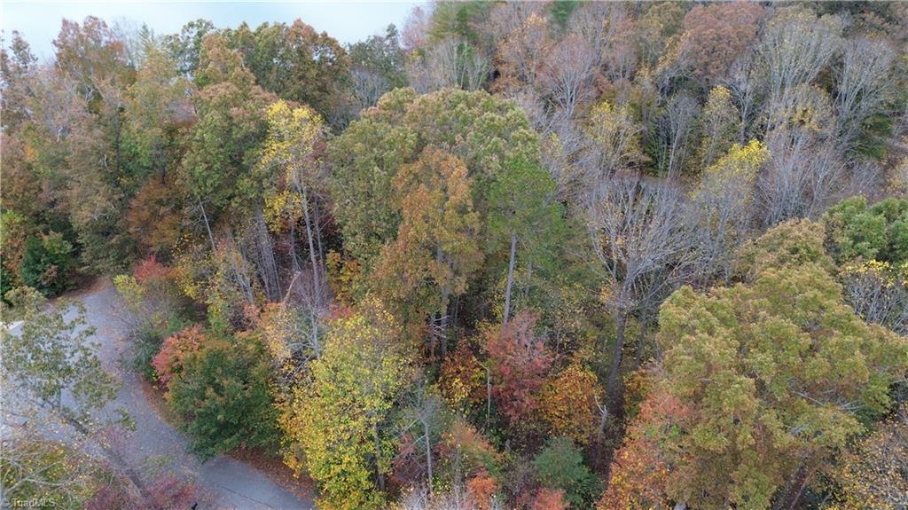 Lot 10 Lakepoint Drive #LAKESHORE, Wilkesboro, North Carolina image 25