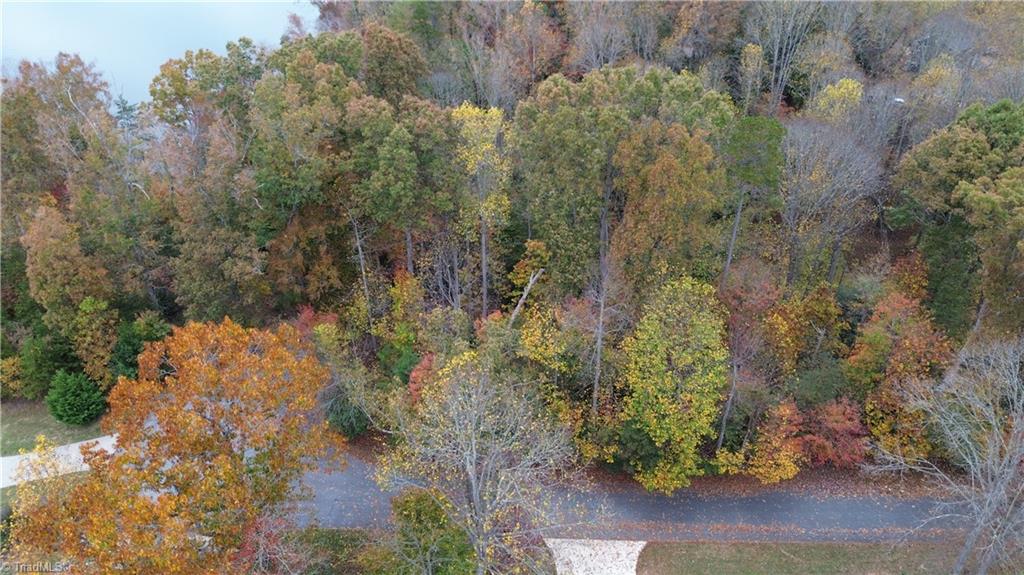 Lot 10 Lakepoint Drive #LAKESHORE, Wilkesboro, North Carolina image 24