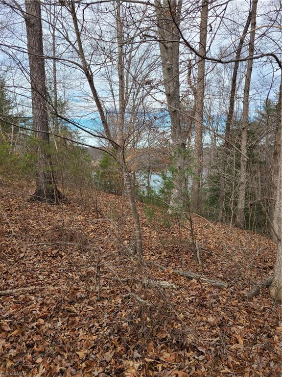 Lot 10 Lakepoint Drive #LAKESHORE, Wilkesboro, North Carolina image 23