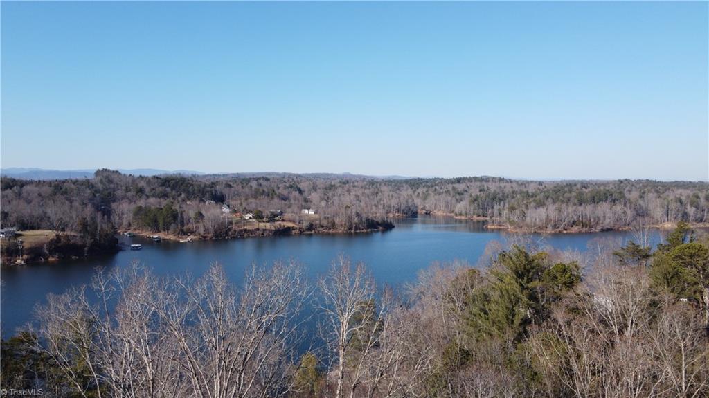 Lot 10 Lakepoint Drive #LAKESHORE, Wilkesboro, North Carolina image 8