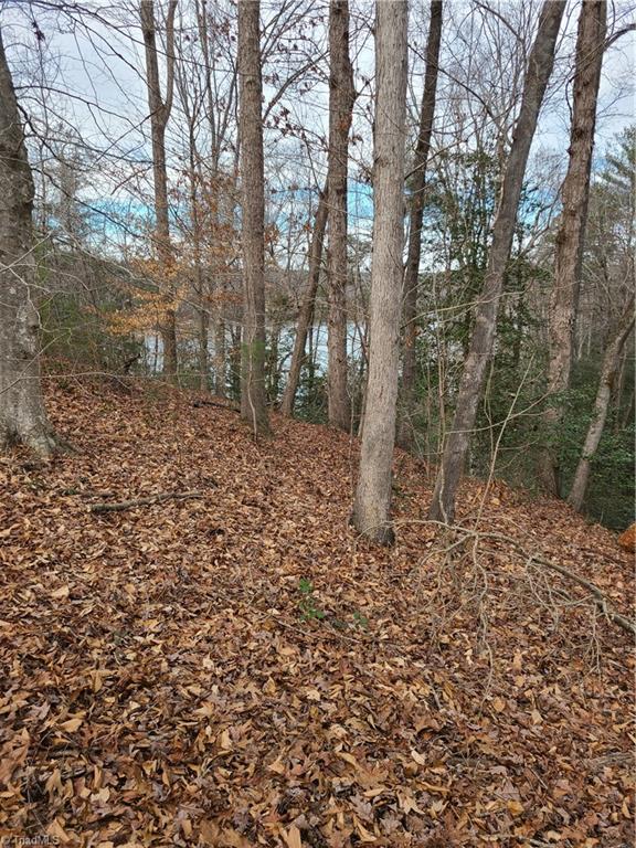 Lot 10 Lakepoint Drive #LAKESHORE, Wilkesboro, North Carolina image 22