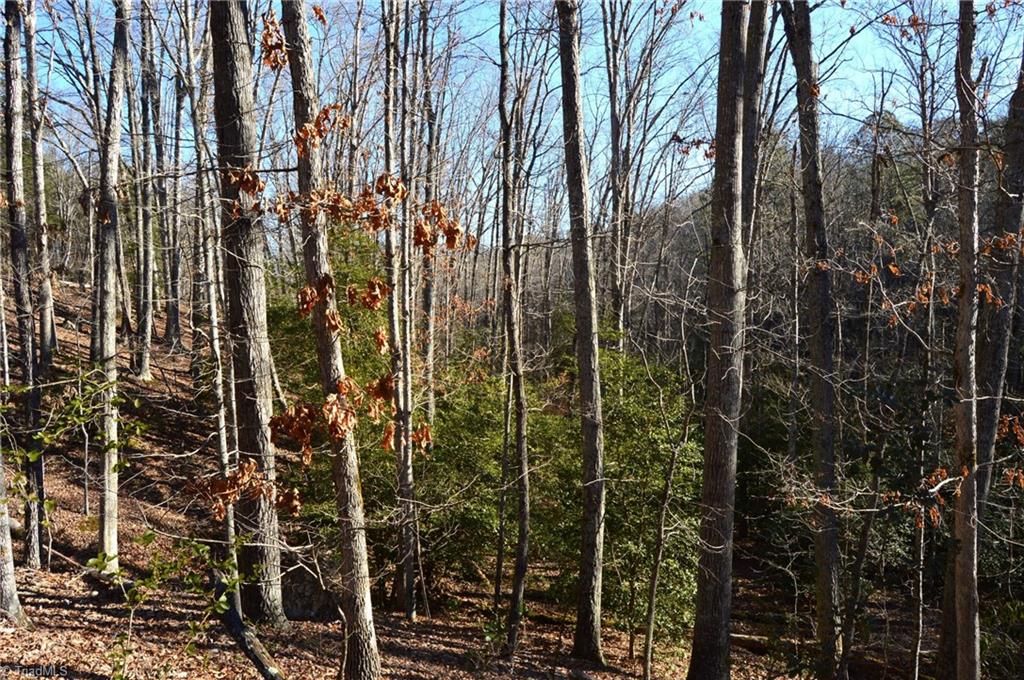 118 Acres - Hanging Rock Park Road, Danbury, North Carolina image 3