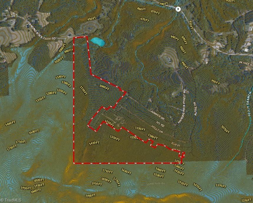 118 Acres - Hanging Rock Park Road, Danbury, North Carolina image 25