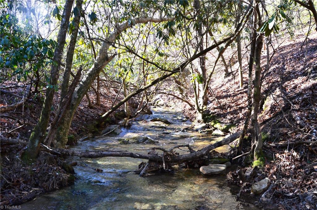 118 Acres - Hanging Rock Park Road, Danbury, North Carolina image 1