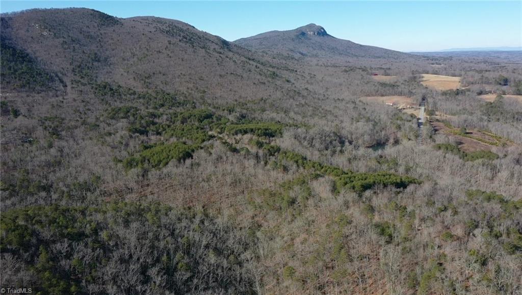 118 Acres - Hanging Rock Park Road, Danbury, North Carolina image 22