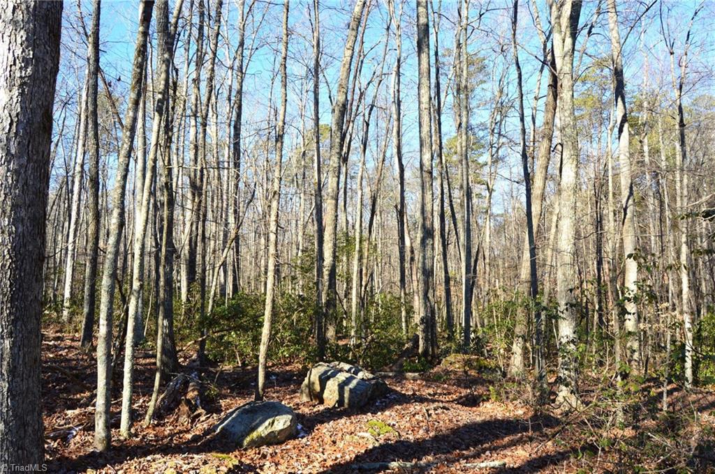 118 Acres - Hanging Rock Park Road, Danbury, North Carolina image 4