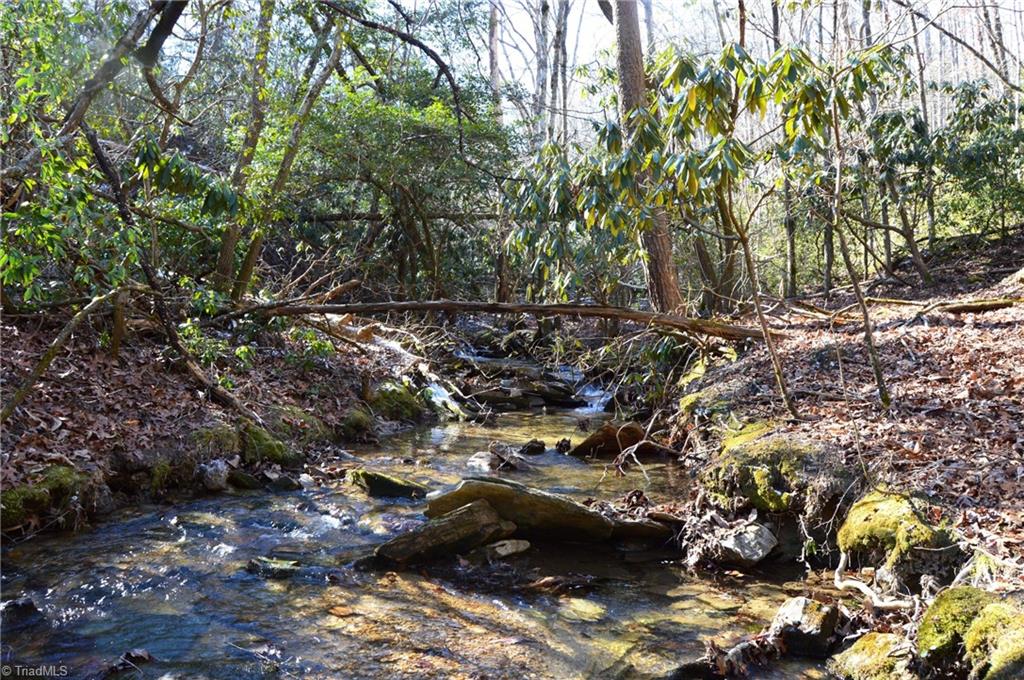 118 Acres - Hanging Rock Park Road, Danbury, North Carolina image 8