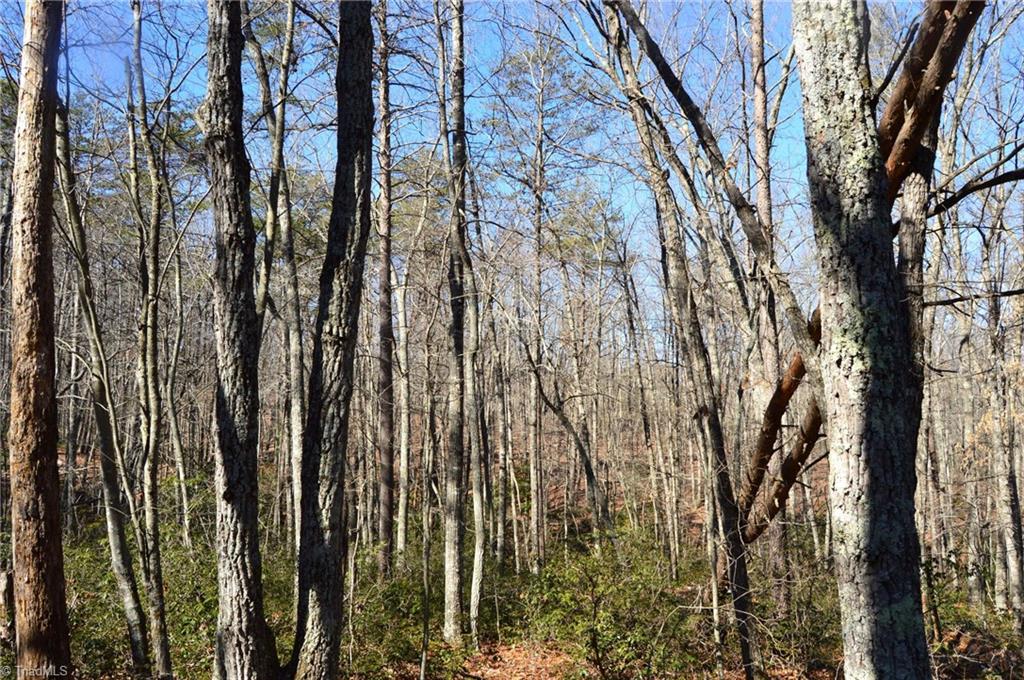 118 Acres - Hanging Rock Park Road, Danbury, North Carolina image 15