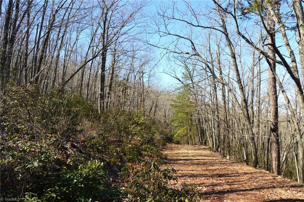 118 Acres - Hanging Rock Park Road, Danbury, North Carolina image 19