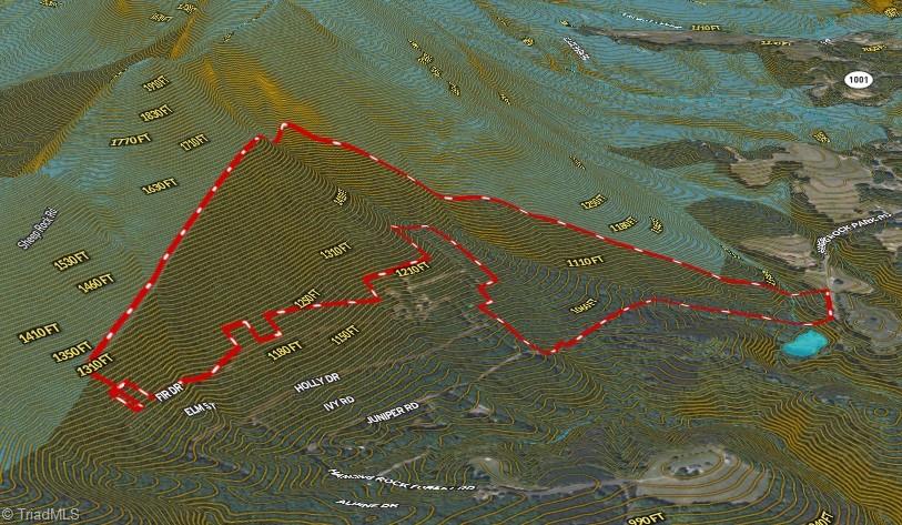 118 Acres - Hanging Rock Park Road, Danbury, North Carolina image 27