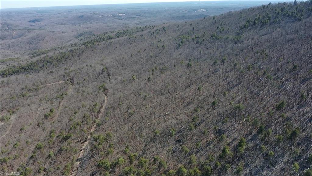 118 Acres - Hanging Rock Park Road, Danbury, North Carolina image 21