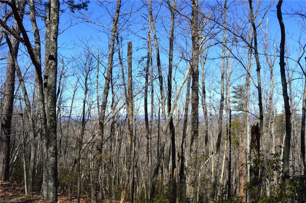 118 Acres - Hanging Rock Park Road, Danbury, North Carolina image 20